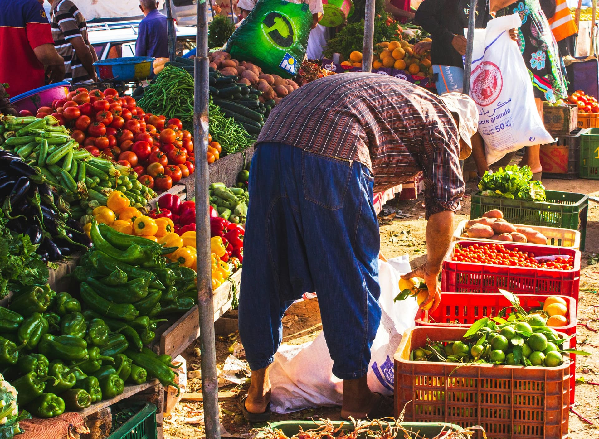 Weekly Souks Near Taghazout: Tamraght, Aourir and Anza