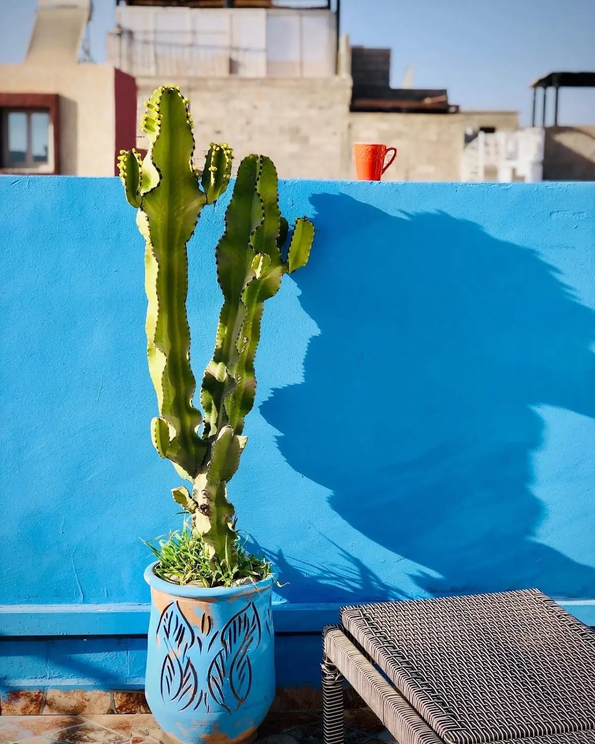 Moroccan Surf Journey